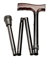 Walking Sticks