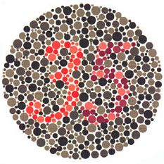 ISHIHARA COLOUR BLINDNESS BOOKS photo