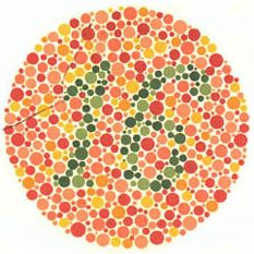 ISHIHARA COLOUR BLINDNESS BOOKS photo
