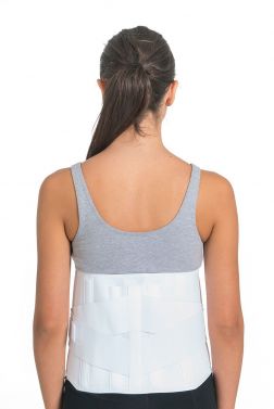 ORTHOLIFE SACRO CINCH BACK SUPPORT