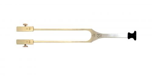 TUNING FORKS / RYDEL-SEIFFER GRADUATED / RAGG 24.5CM 