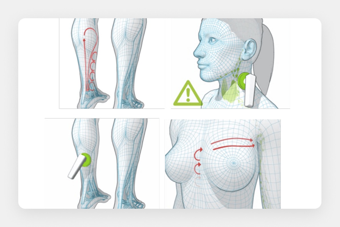 Anatomical